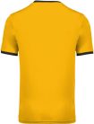 PA4000 rövid ujjú V-nyakú férfi sportpóló, kontrasztos betéttel Proact, Sporty Yellow/Black-2XL