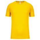 PA438 férfi környakas raglános rövid ujjú sportpóló Proact, True Yellow-2XL