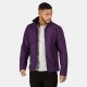 Regatta RETRA688 férfi softshell dzseki, Majestic Purple/Black