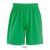 Férfi sport rövidnadrág, SOL'S SO01221, Bright Green-L